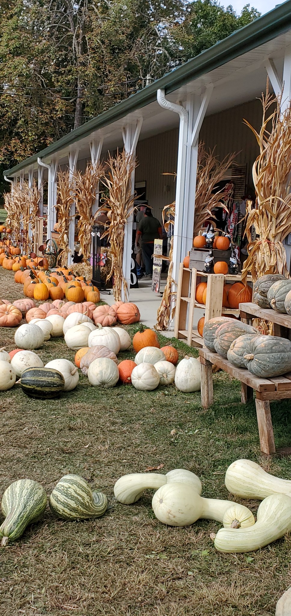 Fall-Tastic Activities – Brianna Santoro